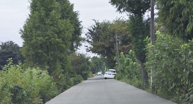 小路