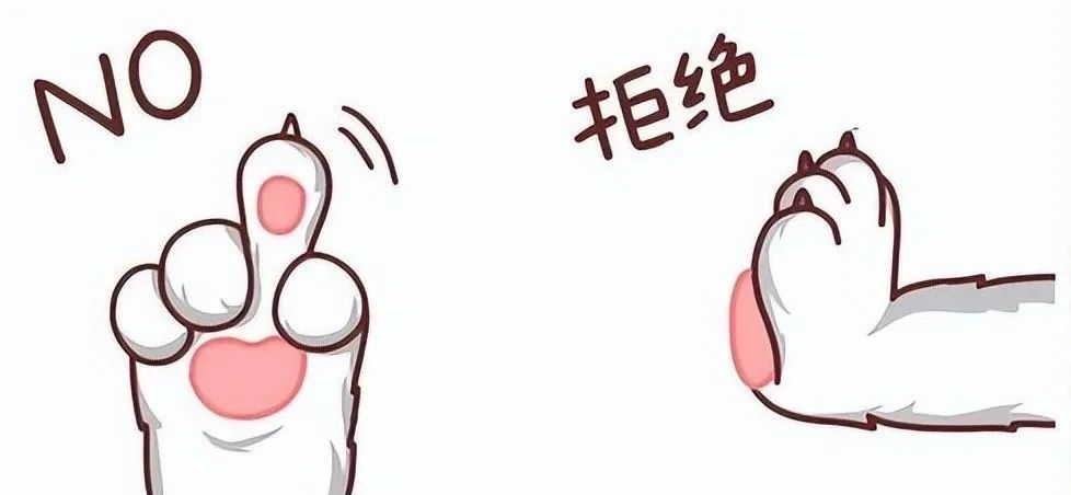 工作没以前负责，但我觉得自己成长了