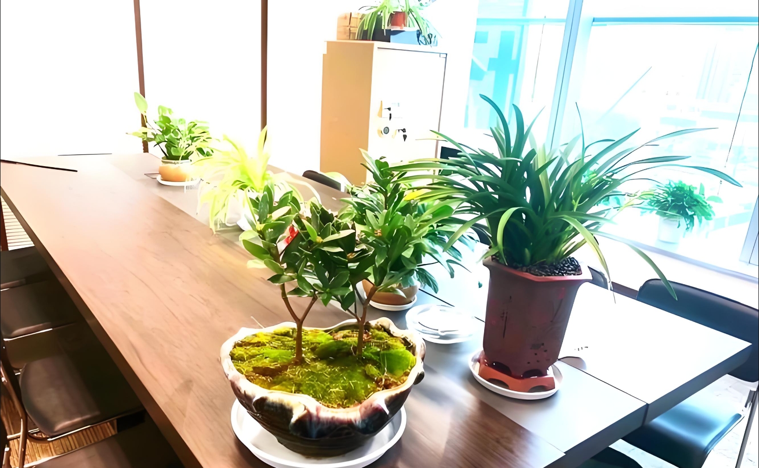 扫地阿姨